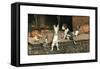 Forager the Puppy Joins the Other Animals by the Fire-Cecil Aldin-Framed Stretched Canvas