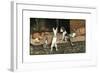 Forager the Puppy Joins the Other Animals by the Fire-Cecil Aldin-Framed Giclee Print