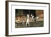 Forager the Puppy Joins the Other Animals by the Fire-Cecil Aldin-Framed Giclee Print