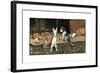 Forager the Puppy Joins the Other Animals by the Fire-Cecil Aldin-Framed Giclee Print