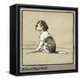 Forager the Puppy Sits by the Empty Plate-Cecil Aldin-Framed Stretched Canvas