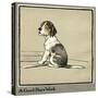 Forager the Puppy Sits by the Empty Plate-Cecil Aldin-Stretched Canvas