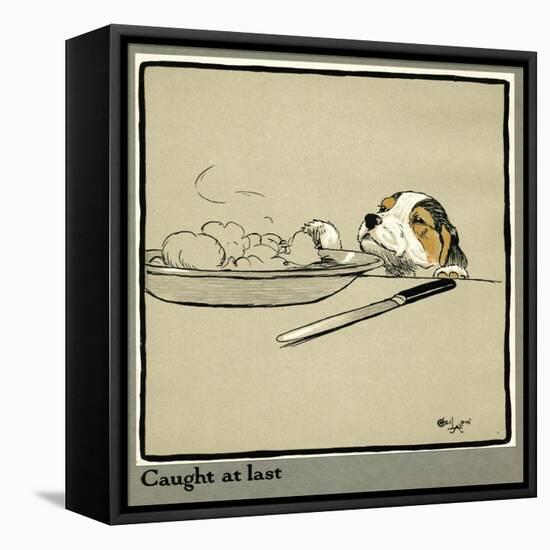 Forager the Puppy Sniffs at the Irish Stew-Cecil Aldin-Framed Stretched Canvas