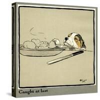 Forager the Puppy Sniffs at the Irish Stew-Cecil Aldin-Stretched Canvas