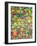 Foraging-Hilary Jones-Framed Giclee Print