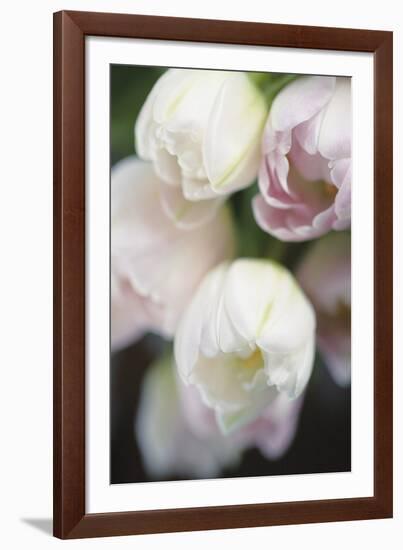 Foralis-Eva Charlotte Fransson-Framed Giclee Print