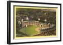 Chelsea Black