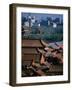 Forbidden City and Modern Buildings in Distance, Beijing, China-Martin Moos-Framed Photographic Print