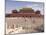 Forbidden City, Beijing, China-Adam Tall-Mounted Photographic Print