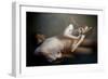 Forbidden Dreams-Olga Mest-Framed Photographic Print