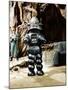 Forbidden Planet, Robby The Robot, 1956-null-Mounted Photo