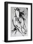 Force Blanche 9-Cyril Réguerre-Framed Art Print