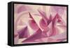 Force Lines of Landscape Amethyst-Giacomo Balla-Framed Stretched Canvas