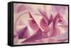 Force Lines of Landscape Amethyst-Giacomo Balla-Framed Stretched Canvas