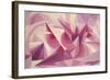 Force Lines of Landscape Amethyst-Giacomo Balla-Framed Giclee Print