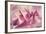 Force Lines of Landscape Amethyst-Giacomo Balla-Framed Giclee Print