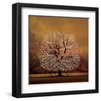 Force of Nature-Dominique Vari-Framed Art Print