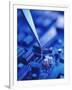 Forceps Holding a Resistor Over a Circuit Board-Chris Knapton-Framed Premium Photographic Print