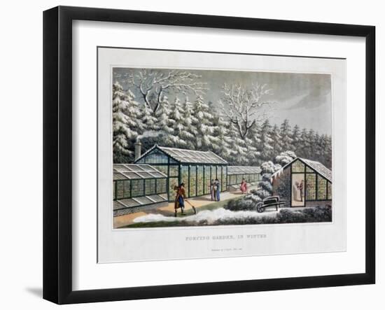 'Forcing Garden in Winter', 1816-Humphry Repton-Framed Giclee Print