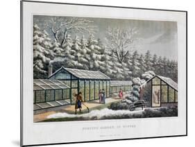 'Forcing Garden in Winter', 1816-Humphry Repton-Mounted Giclee Print