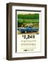 Ford 1966 Ford Ranchero-null-Framed Premium Giclee Print