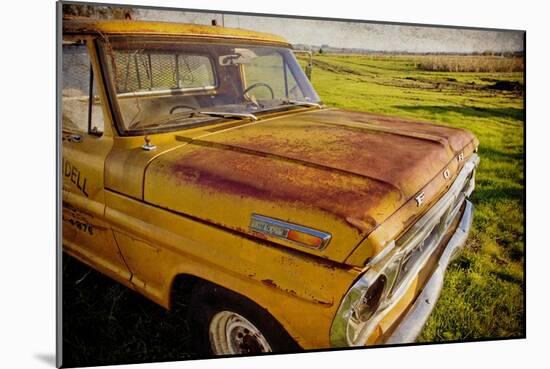 Ford 250-Jessica Rogers-Mounted Giclee Print