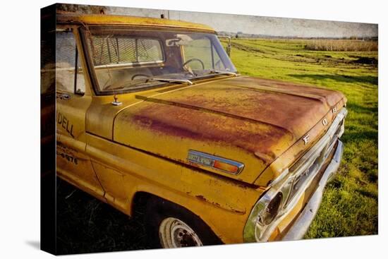 Ford 250-Jessica Rogers-Stretched Canvas