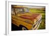 Ford 250-Jessica Rogers-Framed Giclee Print