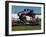 Ford Big Foot Monster Truck-null-Framed Photographic Print