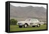 Ford Galaxie 500 race car 1962-Simon Clay-Framed Stretched Canvas