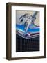 Ford Greyhound hood ornament-Jim Engelbrecht-Framed Photographic Print