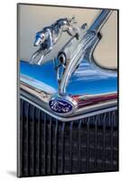 Ford Greyhound hood ornament-Jim Engelbrecht-Mounted Photographic Print