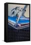 Ford Greyhound hood ornament-Jim Engelbrecht-Framed Stretched Canvas