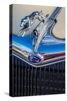 Ford Greyhound hood ornament-Jim Engelbrecht-Stretched Canvas