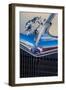 Ford Greyhound hood ornament-Jim Engelbrecht-Framed Photographic Print