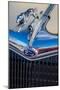 Ford Greyhound hood ornament-Jim Engelbrecht-Mounted Photographic Print