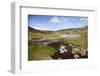 Ford in the Road Made Famous by James Herriot Tv Series, Swaledale, Yorkshire Dales-Mark Mawson-Framed Photographic Print