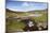 Ford in the Road Made Famous by James Herriot Tv Series, Swaledale, Yorkshire Dales-Mark Mawson-Mounted Photographic Print