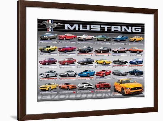 Ford: Mustang- 50 Years Of Evolution-null-Framed Poster