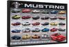 Ford: Mustang- 50 Years Of Evolution-null-Framed Poster