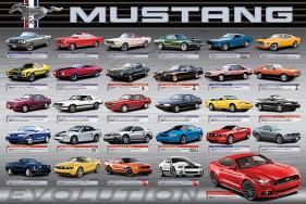 Ford: Mustang- 50 Years Of Evolution-null-Lamina Framed Poster