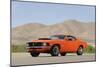 Ford Mustang Boss 429 1970-Simon Clay-Mounted Photographic Print