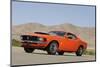 Ford Mustang Boss 429 1970-Simon Clay-Mounted Photographic Print