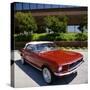 Ford Mustang Convertible 1968-null-Stretched Canvas