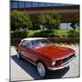 Ford Mustang Convertible 1968-null-Mounted Photographic Print