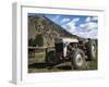 Ford Tractor-Brenda Petrella Photography LLC-Framed Giclee Print