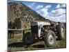 Ford Tractor-Brenda Petrella Photography LLC-Mounted Giclee Print