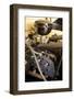 Ford woodie station wagon 1946-Simon Clay-Framed Photographic Print