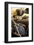 Ford woodie station wagon 1946-Simon Clay-Framed Photographic Print