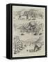 Fording on the Frontier-Godefroy Durand-Framed Stretched Canvas